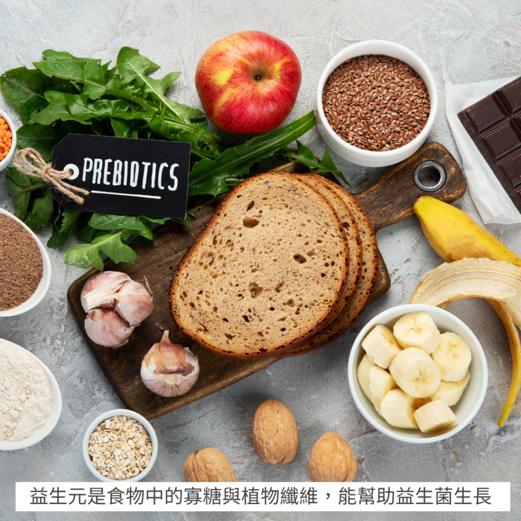 益生元是食物中的寡糖與植物纖維，能幫助益生菌生長