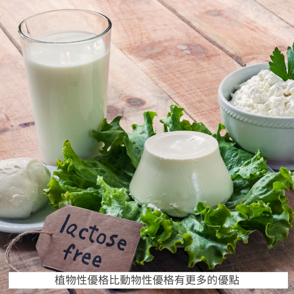 植物性優格比動物性優格有更多的優點