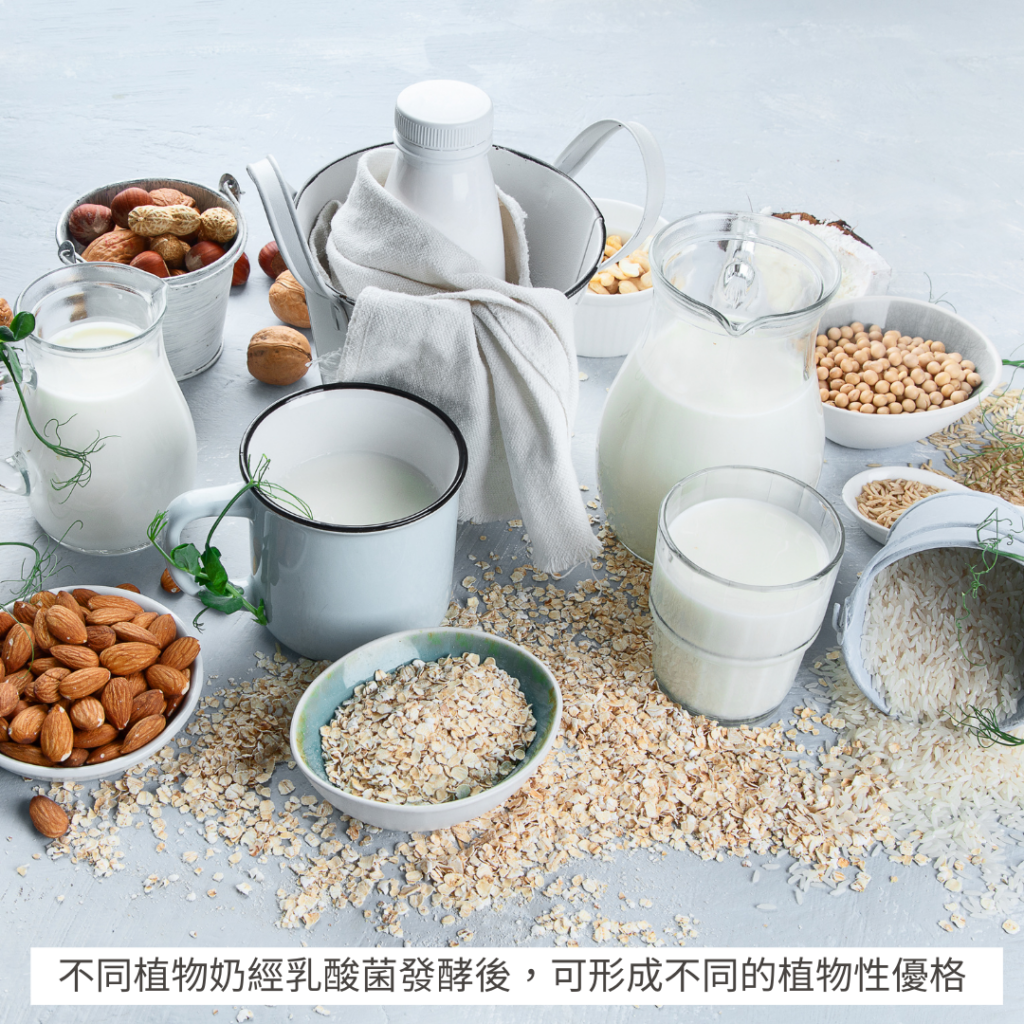 不同種類的植物奶,經乳酸菌發酵後,可形成不同種類的植物性優格