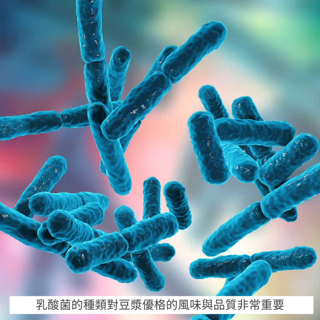 乳酸菌的種類對豆漿優格的風味與品質非常重要