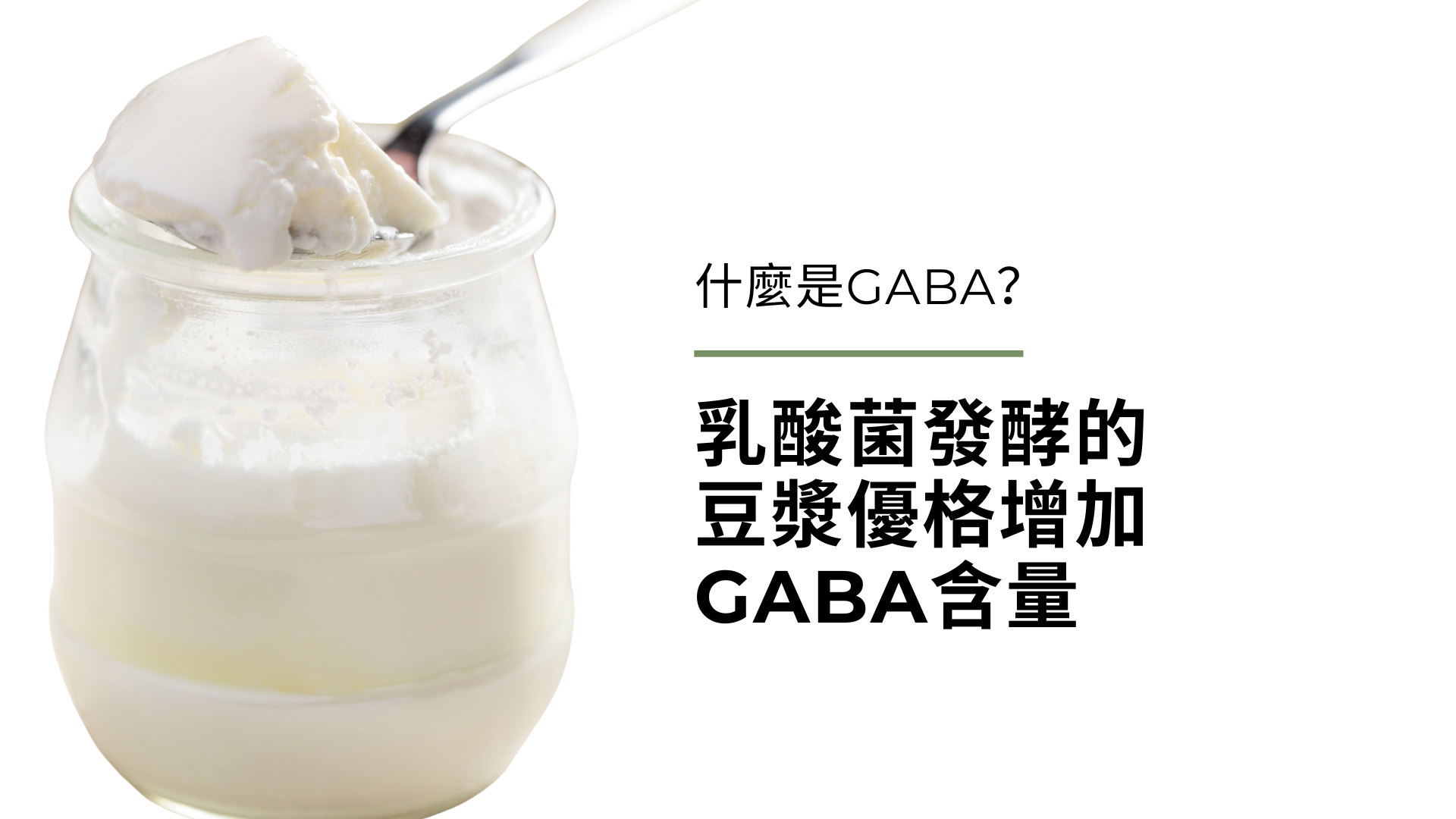 什麼是GABA？乳酸菌發酵的豆漿優格增加GABA含量